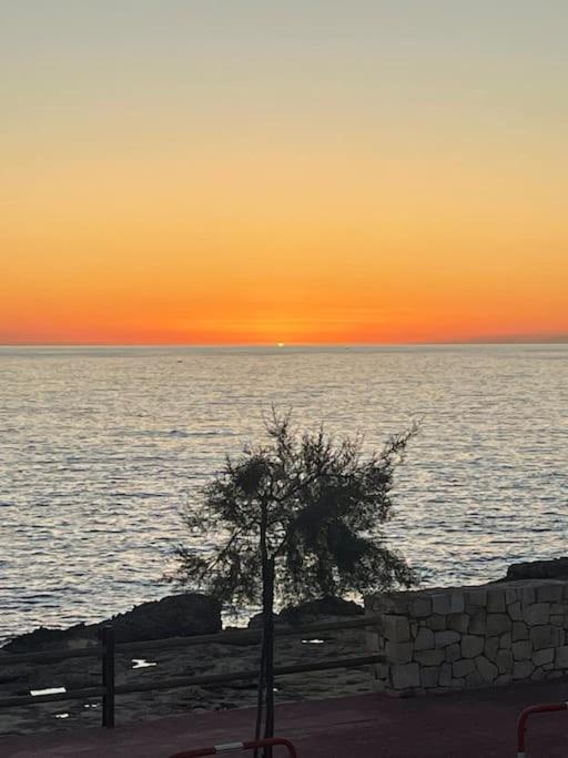 Panoramico Appartamento Lido Conchiglie Gallipoli Extérieur photo